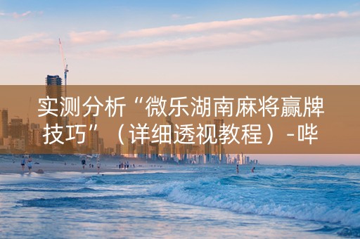 实测分析“微乐湖南麻将赢牌技巧”（详细透视教程）-哔哩哔哩