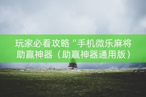 玩家必看攻略“手机微乐麻将助赢神器（助赢神器通用版）