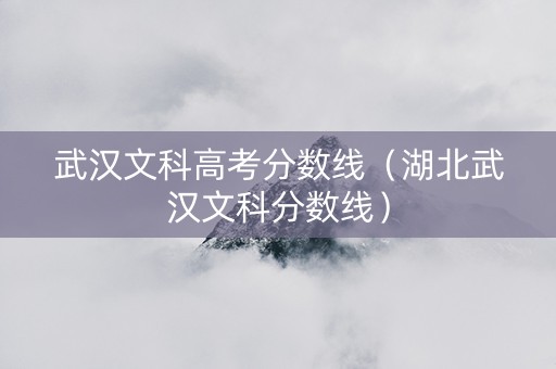 武汉文科高考分数线（湖北武汉文科分数线）