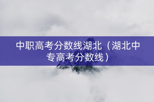 中职高考分数线湖北（湖北中专高考分数线）