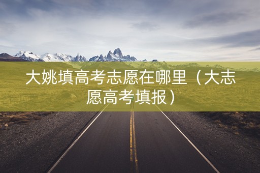 大姚填高考志愿在哪里（大志愿高考填报）