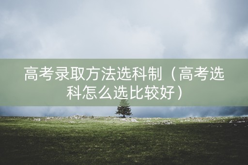 高考录取方法选科制（高考选科怎么选比较好）