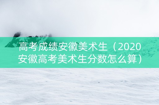 高考成绩安徽美术生（2020安徽高考美术生分数怎么算）