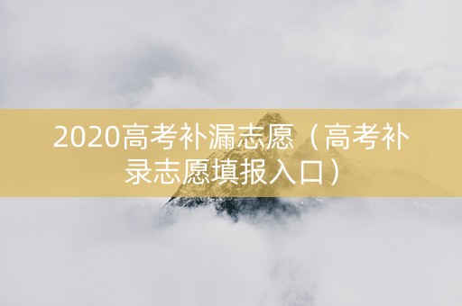 2020高考补漏志愿（高考补录志愿填报入口）