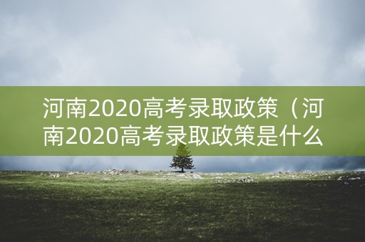河南2020高考录取政策（河南2020高考录取政策是什么）