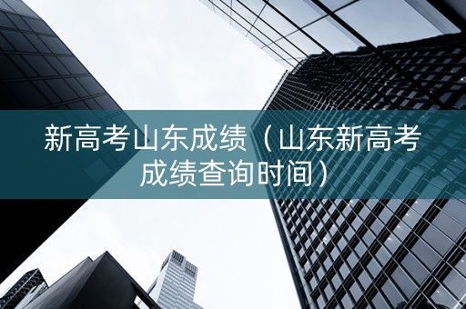 新高考山东成绩（山东新高考成绩查询时间）
