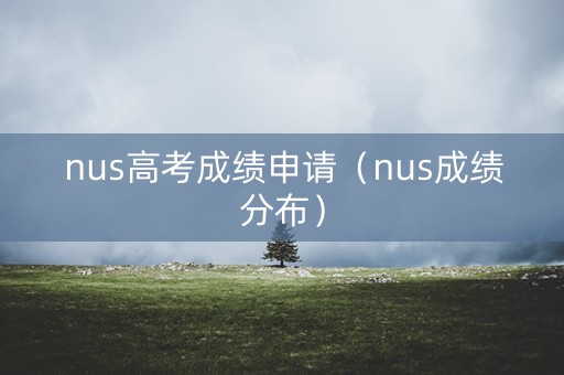 nus高考成绩申请（nus成绩分布）