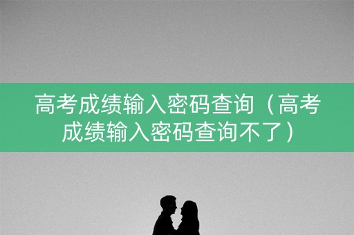 高考成绩输入密码查询（高考成绩输入密码查询不了）