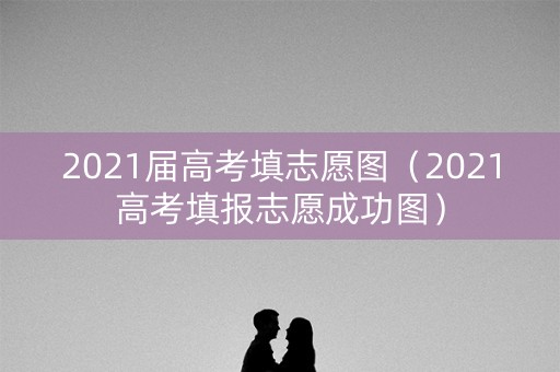 2021届高考填志愿图（2021高考填报志愿成功图）