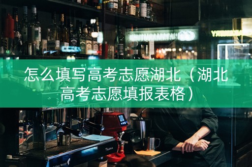 怎么填写高考志愿湖北（湖北高考志愿填报表格）