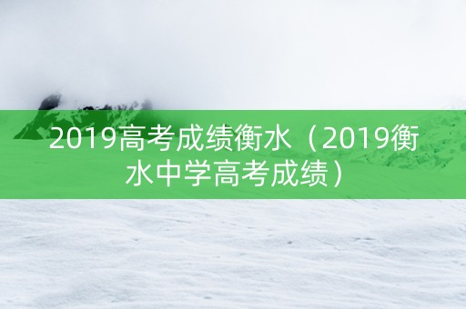 2019高考成绩衡水（2019衡水中学高考成绩）