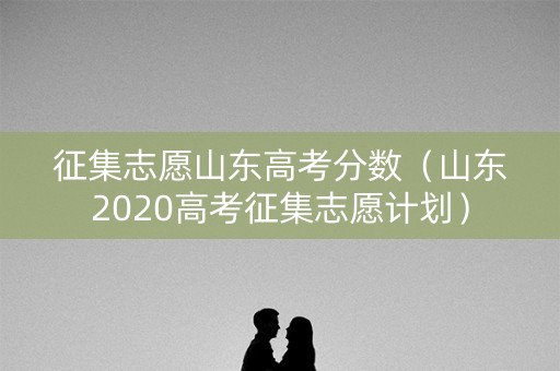 征集志愿山东高考分数（山东2020高考征集志愿计划）