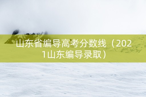 山东省编导高考分数线（2021山东编导录取）