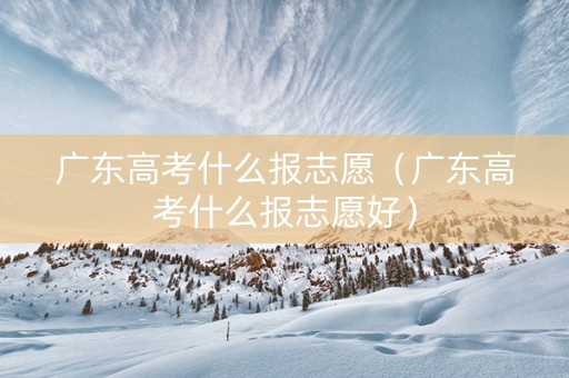 广东高考什么报志愿（广东高考什么报志愿好）
