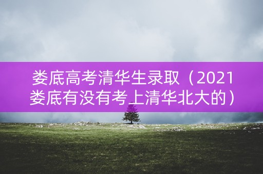 娄底高考清华生录取（2021娄底有没有考上清华北大的）
