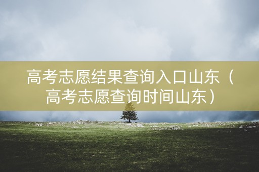 高考志愿结果查询入口山东（高考志愿查询时间山东）