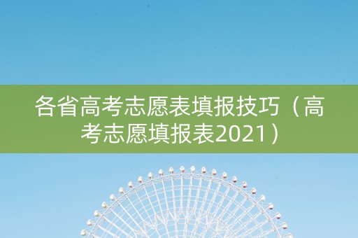 各省高考志愿表填报技巧（高考志愿填报表2021）