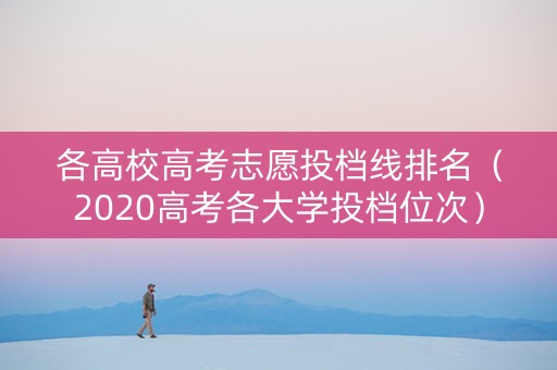 各高校高考志愿投档线排名（2020高考各大学投档位次）