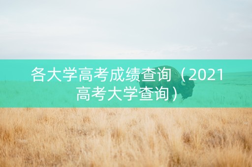 各大学高考成绩查询（2021高考大学查询）