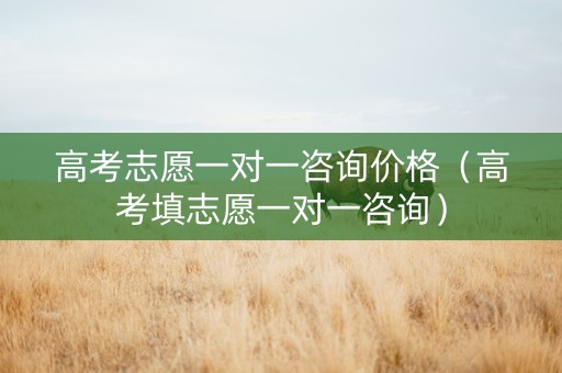 高考志愿一对一咨询价格（高考填志愿一对一咨询）