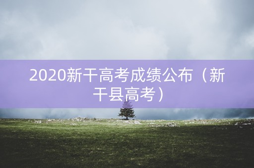 2020新干高考成绩公布（新干县高考）