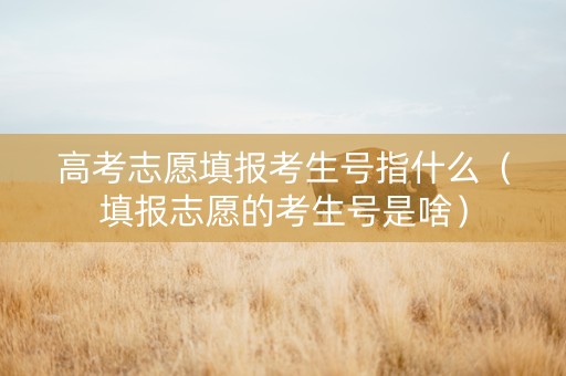 高考志愿填报考生号指什么（填报志愿的考生号是啥）