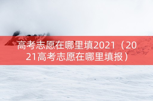 高考志愿在哪里填2021（2021高考志愿在哪里填报）