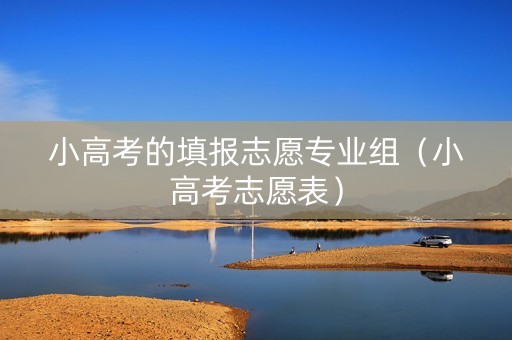 小高考的填报志愿专业组（小高考志愿表）