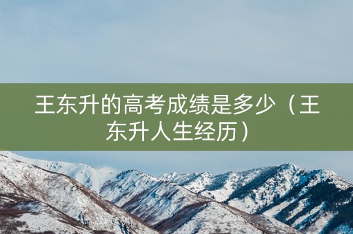 王东升的高考成绩是多少（王东升人生经历）