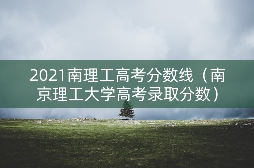 2021南理工高考分数线（南京理工大学高考录取分数）