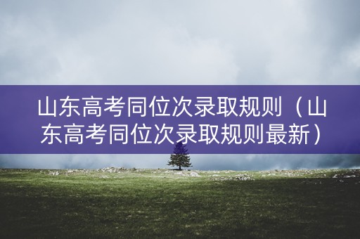 山东高考同位次录取规则（山东高考同位次录取规则最新）