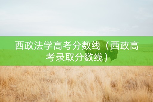西政法学高考分数线（西政高考录取分数线）