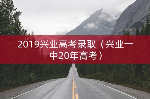 2019兴业高考录取（兴业一中20年高考）