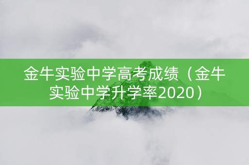 金牛实验中学高考成绩（金牛实验中学升学率2020）