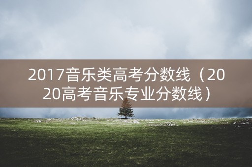 2017音乐类高考分数线（2020高考音乐专业分数线）