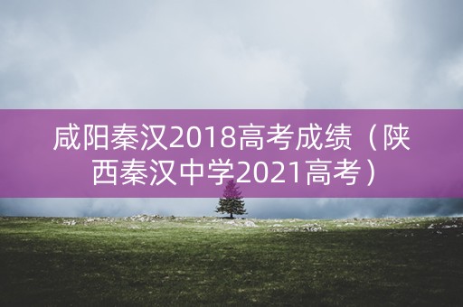 咸阳秦汉2018高考成绩（陕西秦汉中学2021高考）