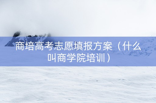 商培高考志愿填报方案（什么叫商学院培训）