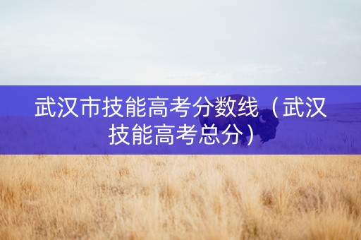武汉市技能高考分数线（武汉技能高考总分）