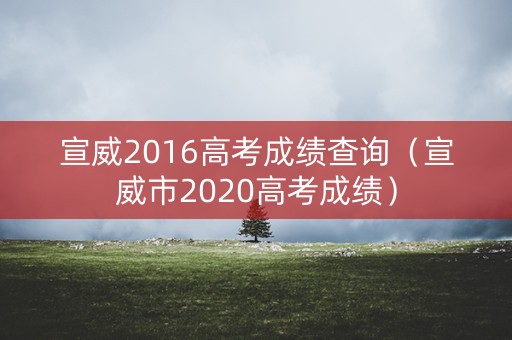宣威2016高考成绩查询（宣威市2020高考成绩）