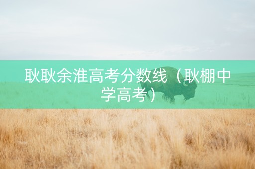 耿耿余淮高考分数线（耿棚中学高考）