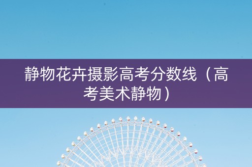 静物花卉摄影高考分数线（高考美术静物）