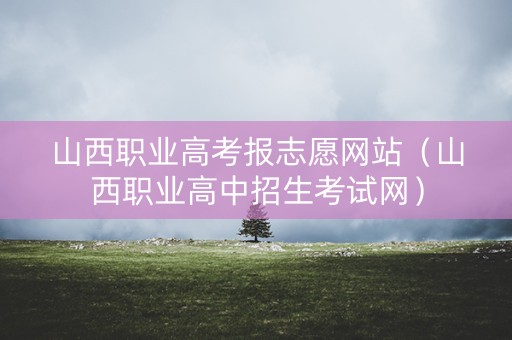 山西职业高考报志愿网站（山西职业高中招生考试网）