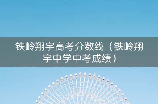 铁岭翔宇高考分数线（铁岭翔宇中学中考成绩）