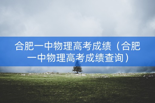 合肥一中物理高考成绩（合肥一中物理高考成绩查询）