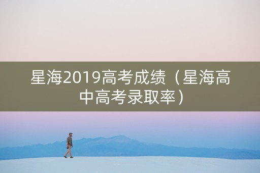 星海2019高考成绩（星海高中高考录取率）