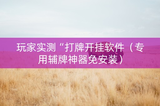 玩家实测“打牌开挂软件（专用辅牌神器免安装）