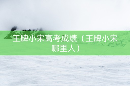 王牌小宋高考成绩（王牌小宋哪里人）