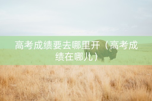 高考成绩要去哪里开（高考成绩在哪儿）