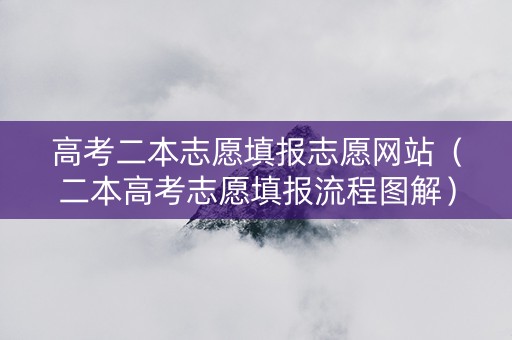 高考二本志愿填报志愿网站（二本高考志愿填报流程图解）