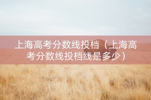 上海高考分数线投档（上海高考分数线投档线是多少）